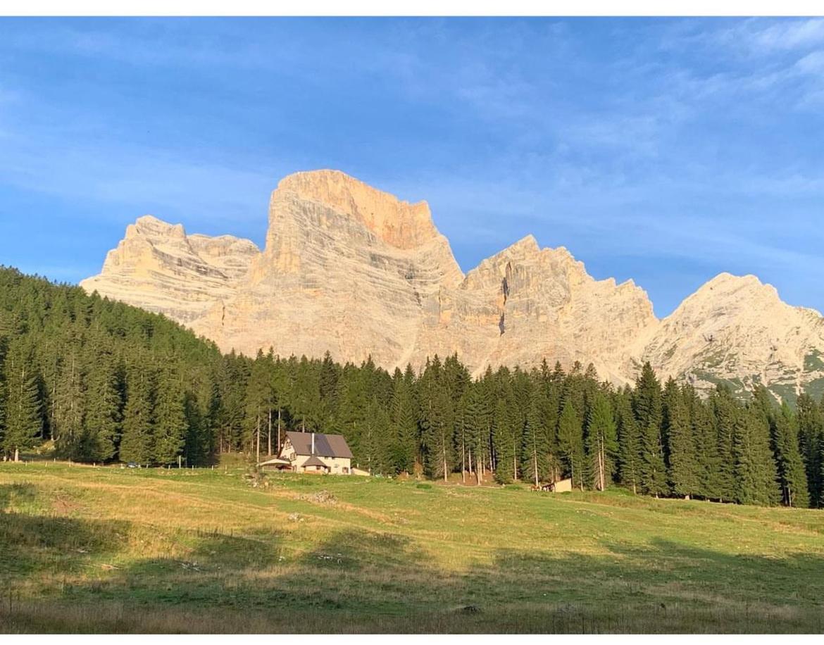 Malga Ciauta Villa Villanova  Eksteriør bilde